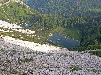 Bild 16 (262 Bildaufrufe)