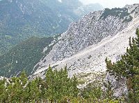 Bild 30 (246 Bildaufrufe)