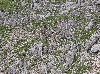 Bild 33 (234 Bildaufrufe)