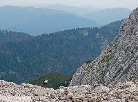 Bild 36 (205 Bildaufrufe)