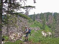 Bild 37 (230 Bildaufrufe)