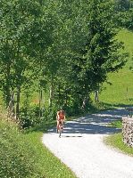 Bild 10 (242 Bildaufrufe)