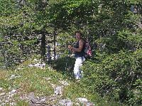Bild 4 (224 Bildaufrufe)