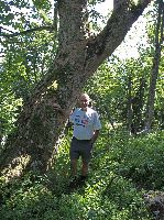 Bild 10 (240 Bildaufrufe)