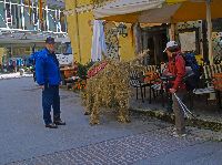 Bild 1 (247 Bildaufrufe)