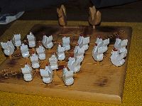 Bild 8 (259 Bildaufrufe)