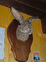 Bild 16 (226 Bildaufrufe)
