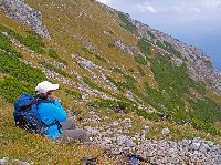 Bild 2 (272 Bildaufrufe)