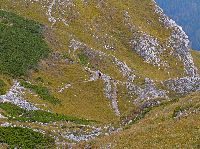 Bild 3 (244 Bildaufrufe)