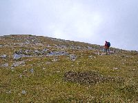 Bild 4 (264 Bildaufrufe)
