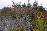 Bild 3 (272 Bildaufrufe)