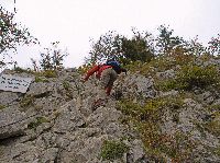 Bild 5 (279 Bildaufrufe)