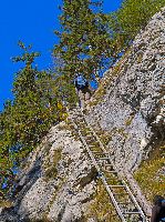 Bild 7 (461 Bildaufrufe)
