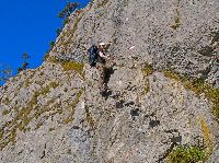 Bild 8 (326 Bildaufrufe)