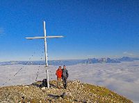 Bild 10 (261 Bildaufrufe)