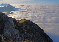 Bild 16 (253 Bildaufrufe)