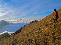Bild 18 (237 Bildaufrufe)