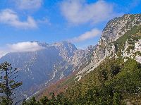 Bild 26 (255 Bildaufrufe)