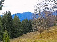 Bild 1 (264 Bildaufrufe)