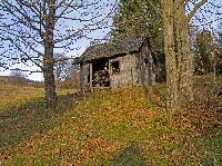 Bild 2 (218 Bildaufrufe)