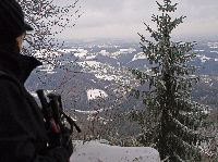 Bild 3 (329 Bildaufrufe)