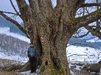 Bild 3 (268 Bildaufrufe)