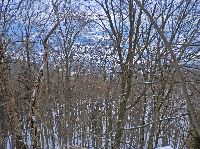 Bild 6 (273 Bildaufrufe)