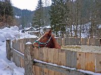 Lorenzipechkogel (206 Bildaufrufe)