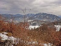 Bild 10 (261 Bildaufrufe)