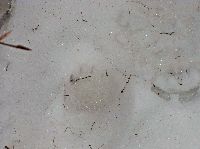 Bild 12 (245 Bildaufrufe)