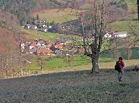 Gaisstein (239 Bildaufrufe)