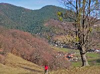 Bild 2 (229 Bildaufrufe)