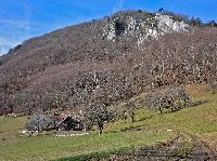 Gaisstein (249 Bildaufrufe)