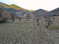 Bild 14 (234 Bildaufrufe)
