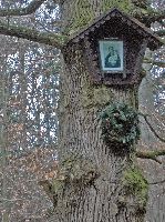 Bild 2 (224 Bildaufrufe)
