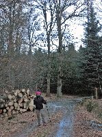 Bild 3 (265 Bildaufrufe)