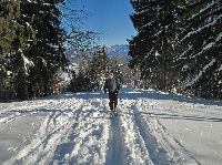 Bild 3 (195 Bildaufrufe)