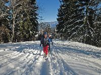 Bild 5 (206 Bildaufrufe)