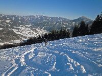 Bild 10 (184 Bildaufrufe)