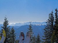 Bild 7 (242 Bildaufrufe)