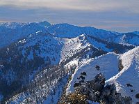 Bild 5 (296 Bildaufrufe)