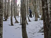 Bild 3 (153 Bildaufrufe)
