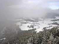 Bild 10 (194 Bildaufrufe)