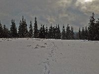 Bild 16 (233 Bildaufrufe)