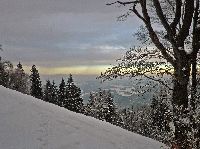 Bild 19 (229 Bildaufrufe)