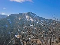 Bild 11 (211 Bildaufrufe)