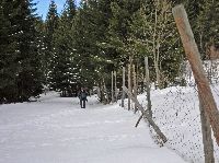 Handlesberg (206 Bildaufrufe)