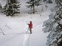 Handlesberg (213 Bildaufrufe)