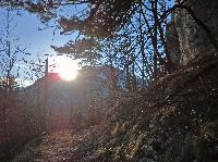 Bild 24 (246 Bildaufrufe)
