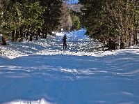 Bild 2 (209 Bildaufrufe)